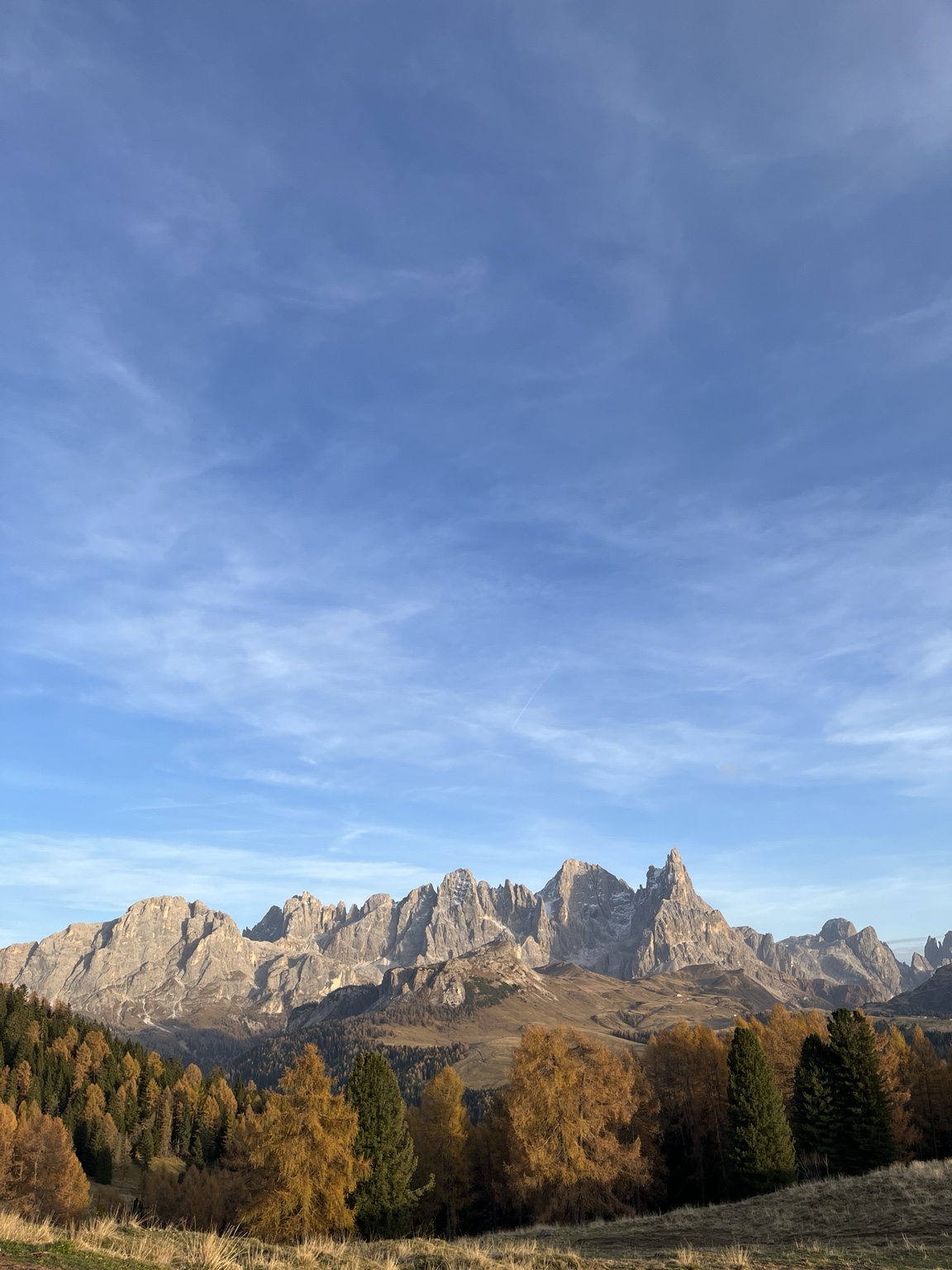 Dolomites and golden autumn woods